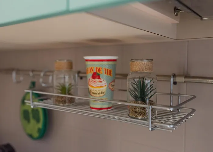 Valentino By Toh Solution Torino